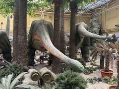 -国家自然博物馆