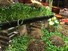 -武汉世茂希尔顿酒店·汇·全日餐厅