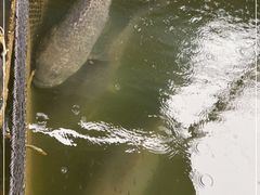 -蓝湾碧波·老字号·疍家非遗海上餐厅