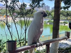 -水上乐园·欢乐世界