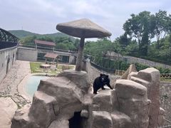 -石家庄市动物园