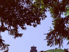 -杭州半山国家森林公园