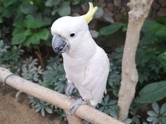 -南宫五洲植物乐园