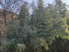 -苏州环秀晓筑养生度假村