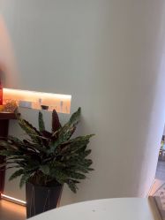-序言科技美肤中心