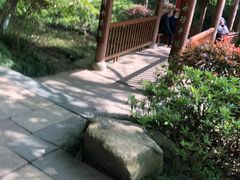 -杭州半山国家森林公园