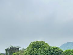 -一茶一饭