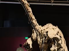 -世界恐龙谷景区