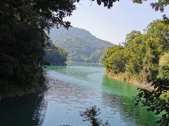 -广州市流溪河国家森林公园