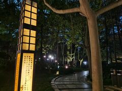 -大雁塔北广场音乐喷泉