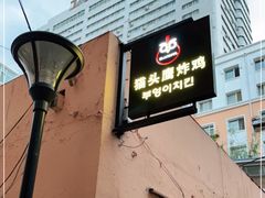 -猫头鹰炸鸡