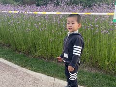 -四里河滨水生态公园