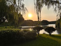 -东华大学(松江校区)