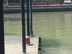 -苏州河梦清园环保主题公园