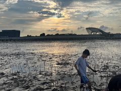 -南汇嘴观海公园