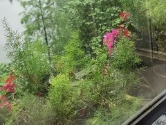 -深圳东部华侨城茵特拉根酒店