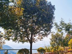 -东天目山风景区