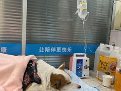 -美迦爱-牙专科·兔科·骨科诊疗中心(北苑店)