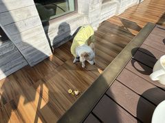 -上海崇明金茂凯悦酒店