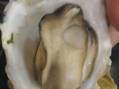 -开蚝屋