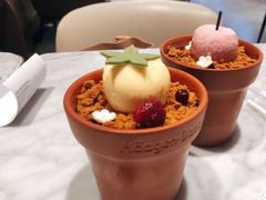 双球华夫筒-哈根达斯(深圳海岸城店)