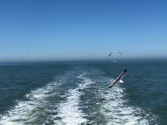 -海驴岛(荣成市)