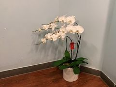 -默迹咖啡馆