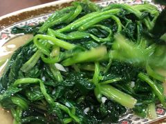 腐乳空心菜-聂记粤菜馆(鼓西路店)