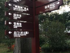 -广州中山纪念堂