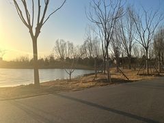 -东郊湿地公园