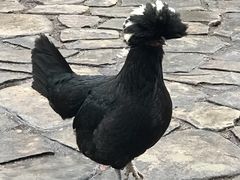 -安塔利亚博物馆