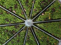 -蟹天蟹地农家菜·阳澄湖大闸蟹(浅水湾店)