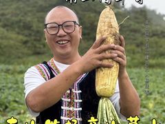 -2046湘味厨房(深圳湾店)