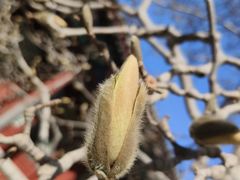 -颐和园-景明楼