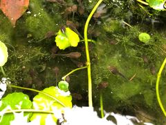 -驿舍·民國老营房院子私房菜(科学会堂店)