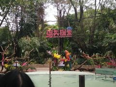 -广州长隆飞鸟乐园