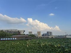 -瓦库茶馆37号(北龙湖店)