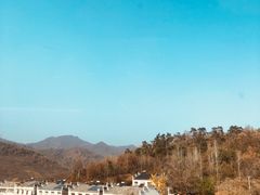 -千年银杏谷文化旅游区