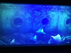-大连圣亚海洋世界