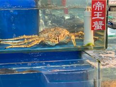 水产区-王四营海鲜市场