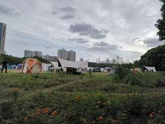 -黄兴公园