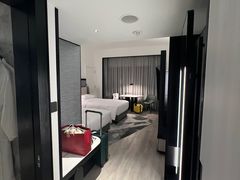 -新加坡乌节希尔顿酒店 (SG Clean)