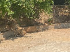 -泉州海丝野生动物世界