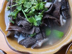 -小杨翘脚牛肉