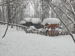 -大秃顶子山