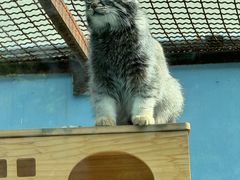 -青藏高原野生动物园