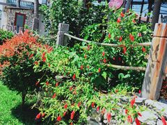 -沙美村