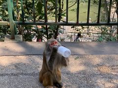 -黔灵山公园
