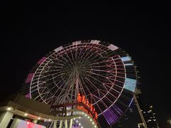 -南昌之星摩天轮