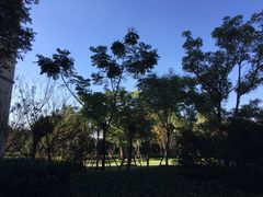 -太湖饭店玉兰厅(自助餐厅)